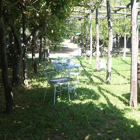Emy'S Country House Apartment Castellammare di Stabia Luaran gambar