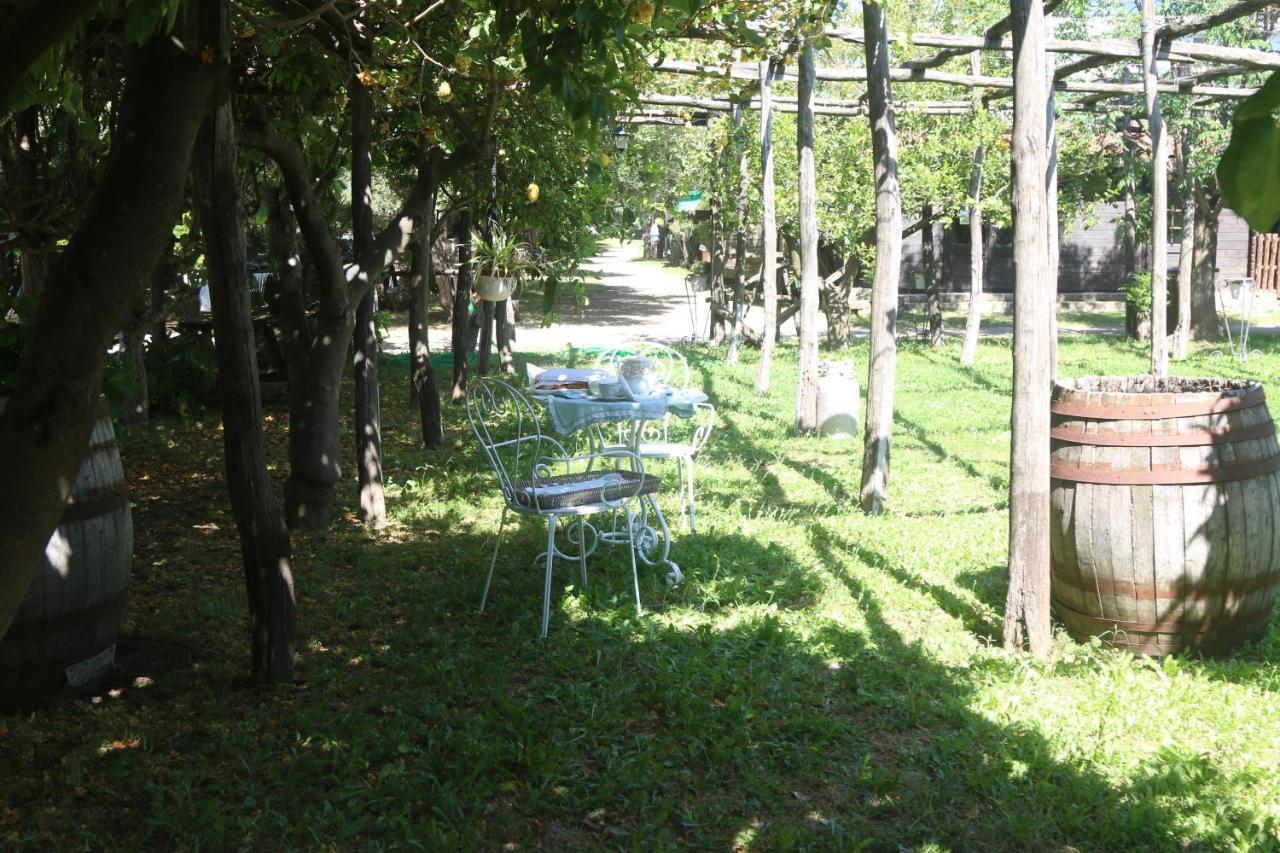 Emy'S Country House Apartment Castellammare di Stabia Luaran gambar