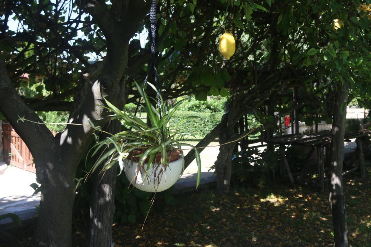 Emy'S Country House Apartment Castellammare di Stabia Luaran gambar