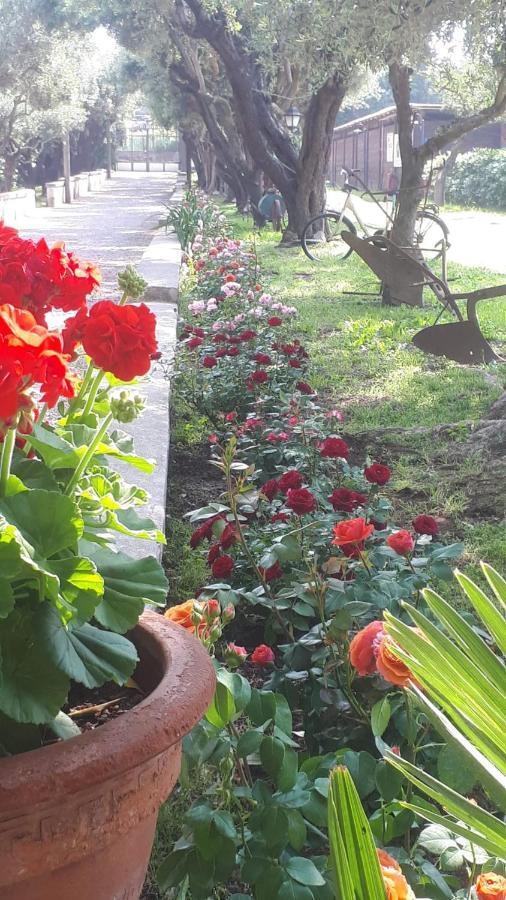 Emy'S Country House Apartment Castellammare di Stabia Luaran gambar
